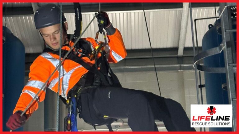 Read more about the article Complete Guide to Fall Protection Systems: Types, Uses, and Best Practice